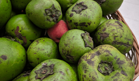 The Strange Fruit You Can’t Miss in Mexico